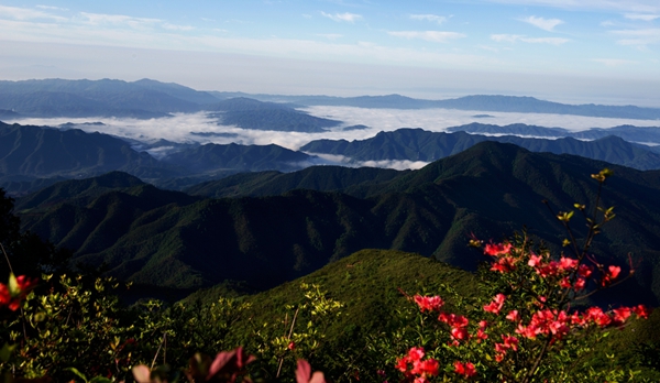 云海奇观杨广泉摄于七星岭景区