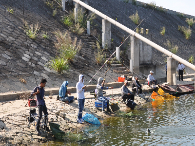 莆田市城厢区2015年秋季野外钓鱼比赛收竿