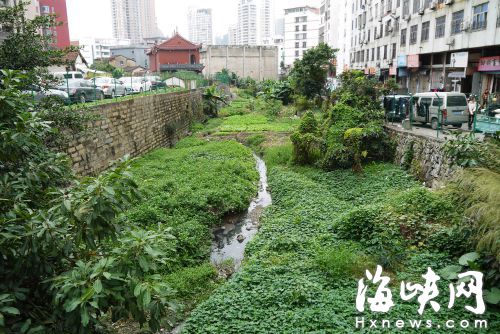 曾是莆田二十四景之一，如今却长满杂草的小西湖