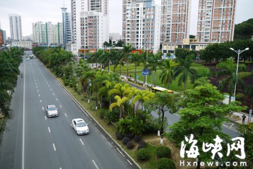 东圳路绿化优美，各类高低植物错落有致  