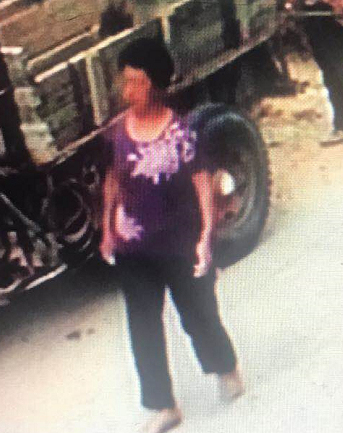 山亭镇一老妇离家未归 上身穿一件紫色带花短