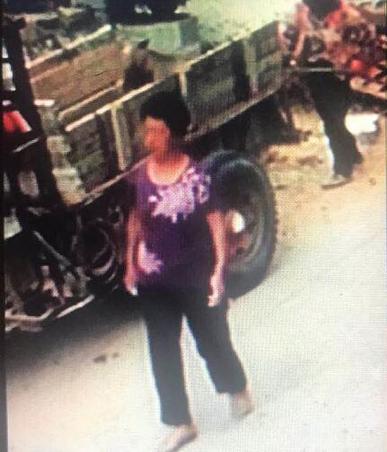 莆田山亭镇一老妇离家未归 上身穿紫色带花短