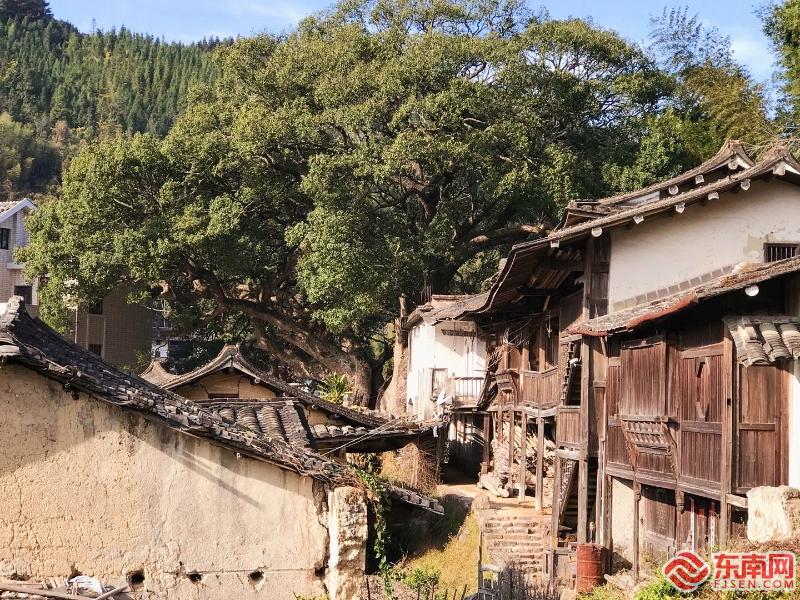 仙遊縣石蒼鄉的千年古村——濟川村