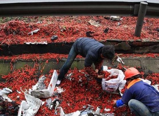 湖南高速车祸7人死亡 辣椒满地遭市民"疯抢"