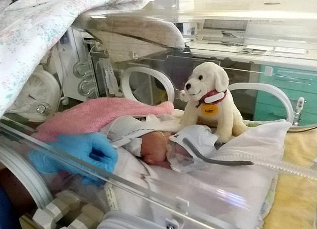 英国一早产16周女婴出生时体重仅1斤却顽强存活