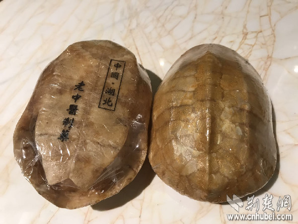 又到秋冬进补时 龟甲胶渐入大众视野 - 国内新闻 - 东南网