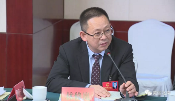 市人大代表,北岸党工委书记林修岚发言